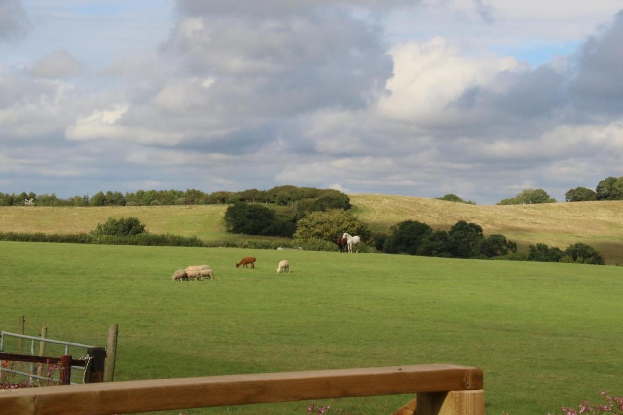 Farm Glamping Puki Pod