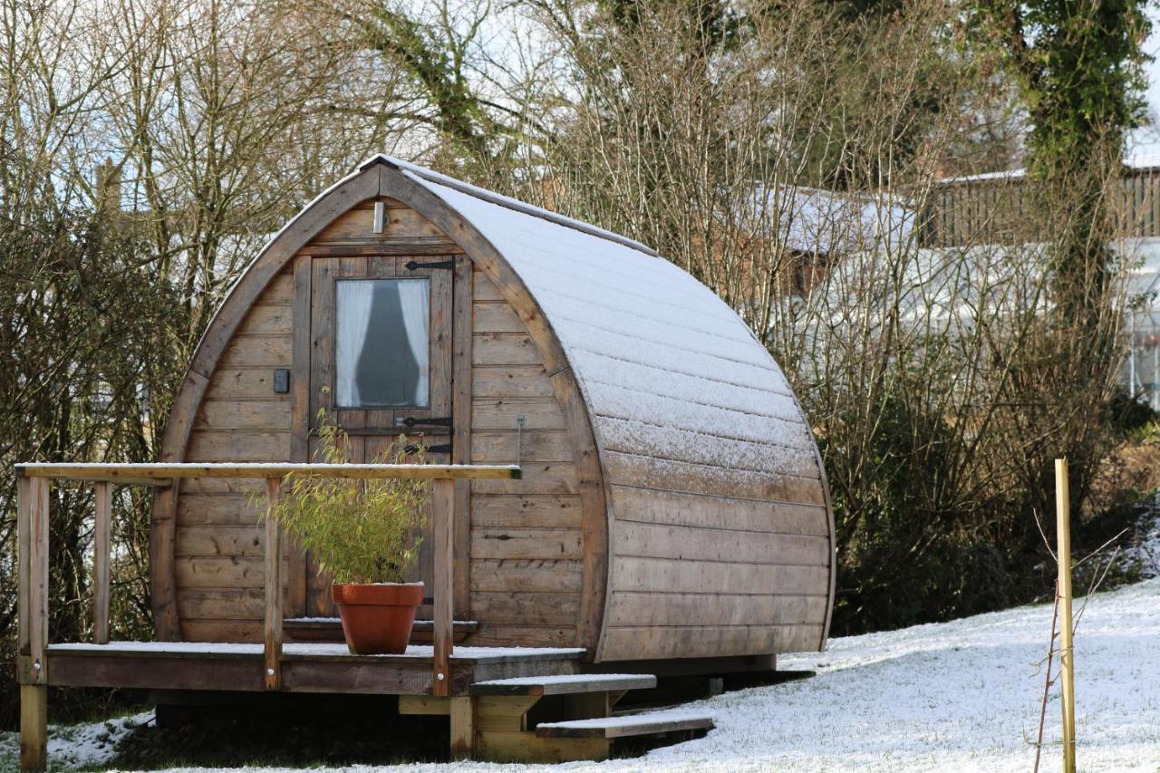 Farm Glamping Puki Pod Campsite Corscombe