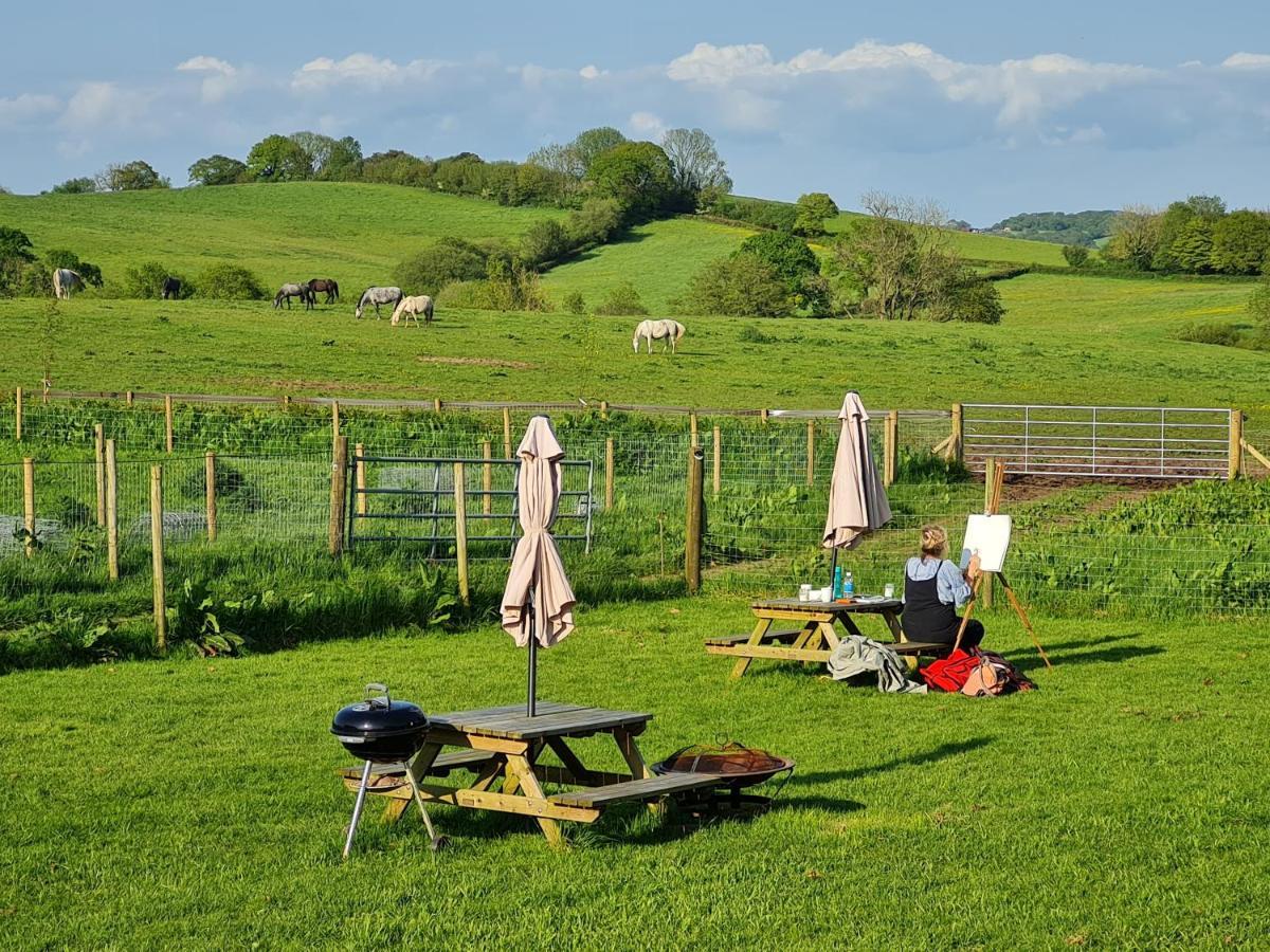 Campsite Farm Glamping Puki Pod Corscombe